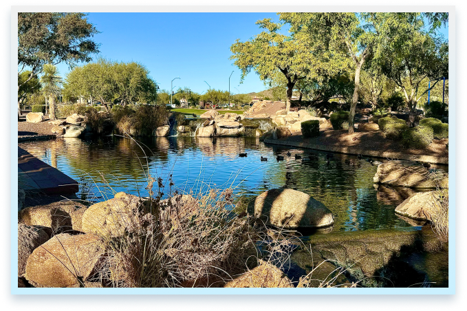 Pond in a park in Anthem, AZ