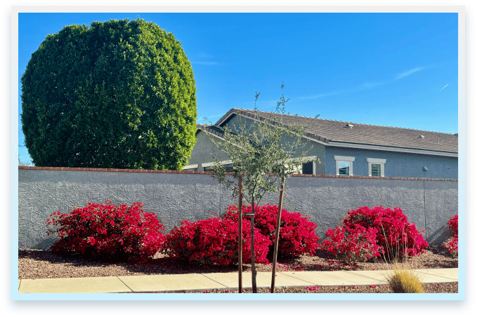 home located in Buckeye, AZ